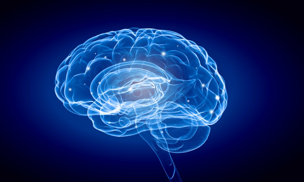 305164379 - Science image with human brain on blue background; Credito: Shutterstock
