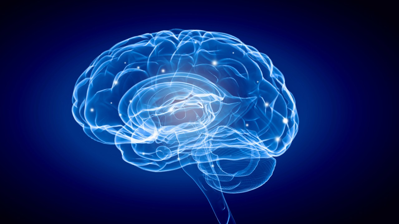 305164379 - Science image with human brain on blue background; Credito: Shutterstock