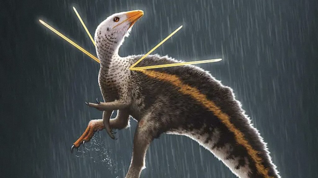 UBIRAJARA - Representação do dinossauro e o fóssil (no círculo): de volta para casa após trinta anos -