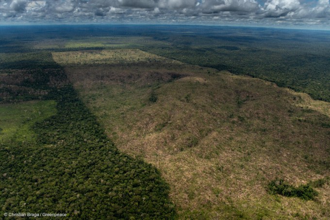 Deforestation of Public Non-Destined Forests in the Amazon in BrazilDesmatamento de Floresta Pública Não Destinada na Amazônia