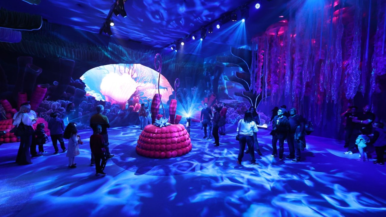 O fundo do mar na sala temática de 'Procurando Nemo', na exposição Mundo Pixar