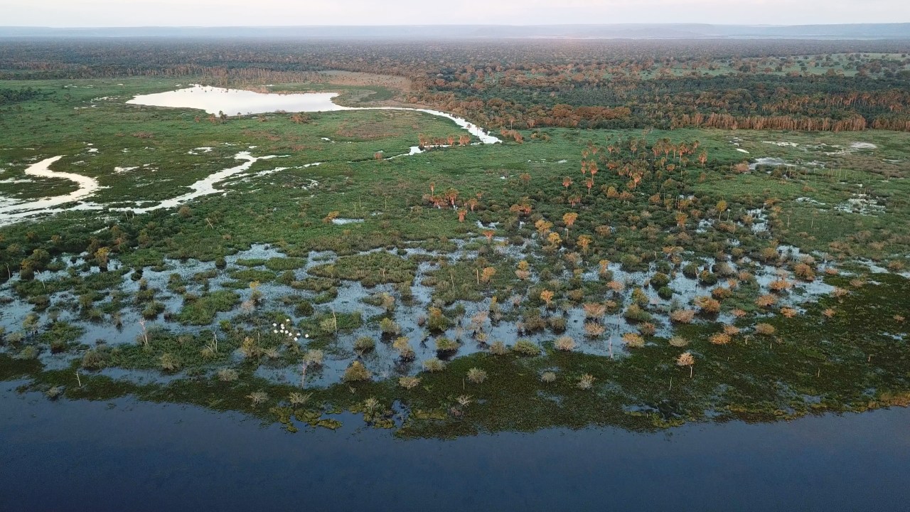 Baia localizada no Pantanal matogrossense, bioma brasileiro