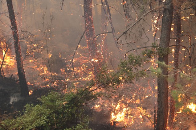 Incêndio florestal decorrente `as elevadas temperaturas, na região de Mugla, Turquia, em 13/07/2022.