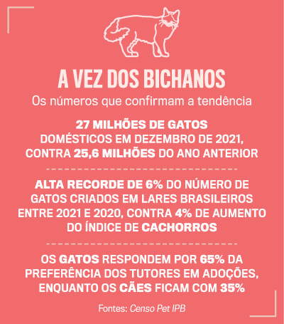 arte bichanos