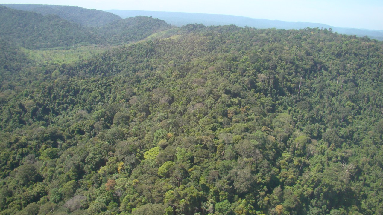 Floresta Nacional de Itacaiúnas