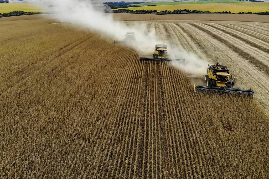 VEJA Fórum Agro discute soluções sustentáveis para alimentar e preservar o planeta nesta segunda, 24