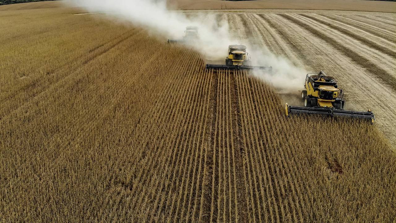 ORGULHO - Prosperidade: o Brasil desenvolvido produz alimentos para abastecer os maiores mercados do mundo -