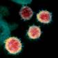 De varíola dos macacos ao coronavírus: vivemos a era das pandemias?