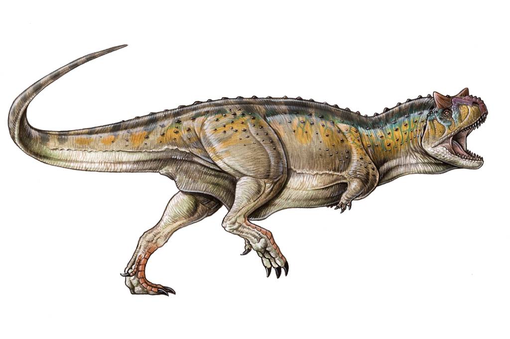'Carnotaurus sastrei' -