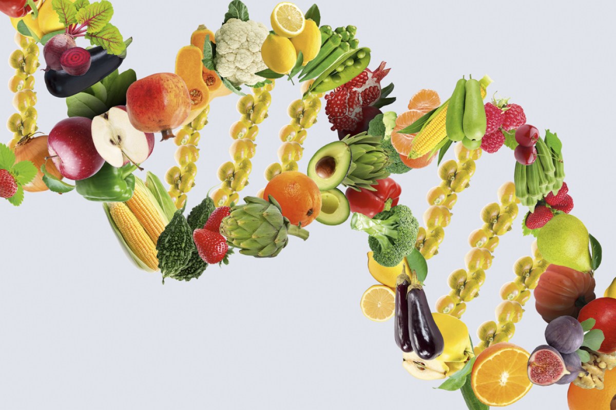 Avançam os estudos sobre como genes influenciam preferências alimentares |  VEJA