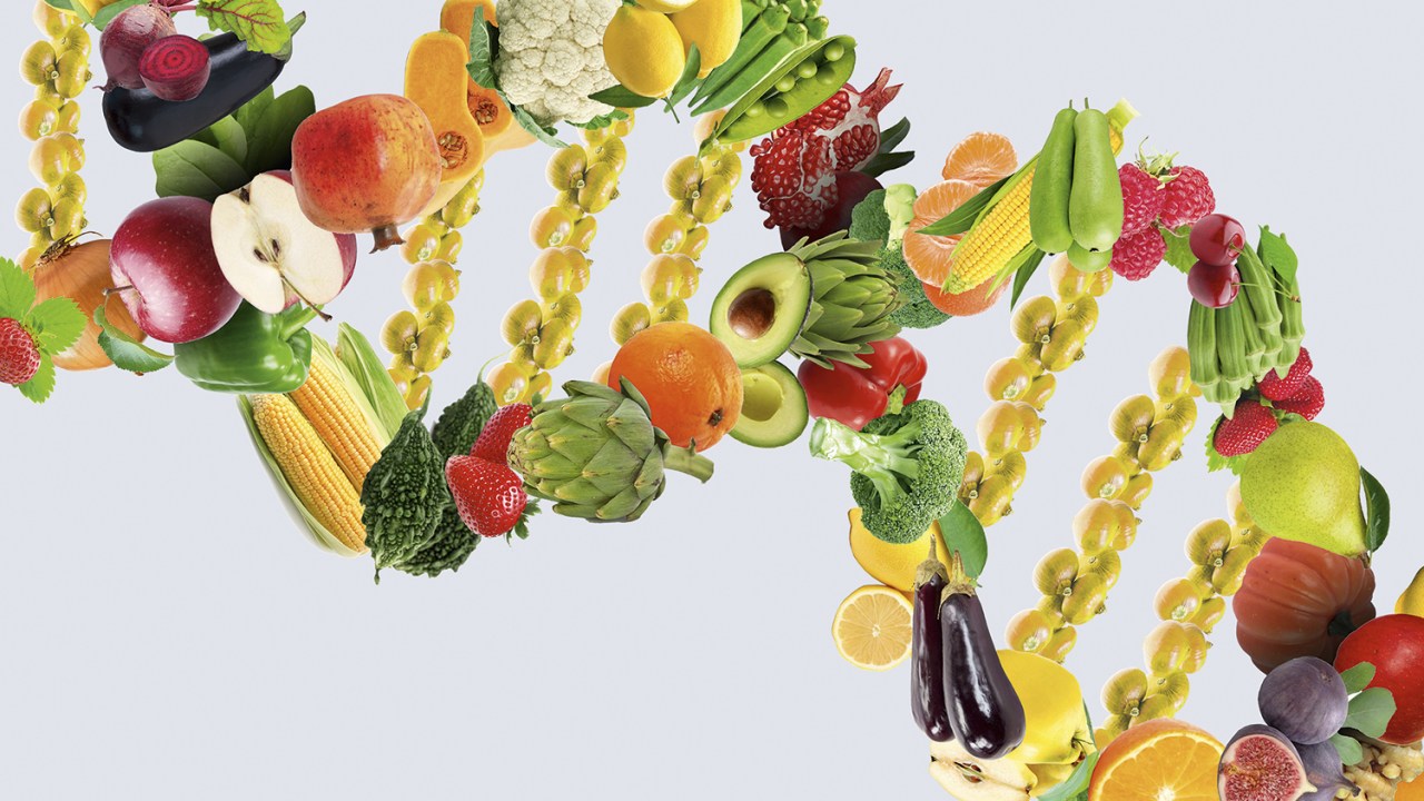 DNA DE PESO - Gosto por frutas e verduras: resultado de algumas das 255 variantes genéticas encontradas -