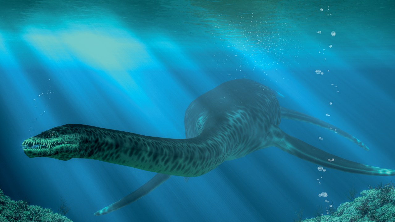 AQUÁTICO - Plesiossauro na água: dinos podiam viver no mar ou em lagos e rios -