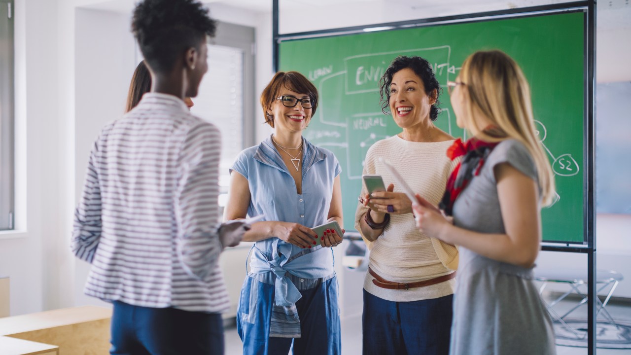 Como em muitos países, a profissão docente na Hungria é dominada por mulheres, que representam 82% dos professores do país.