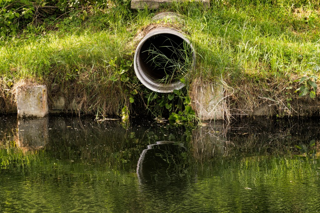 Poluição ambiental e despejo. Tubulação de esgoto e água suja parada em uma lagoa