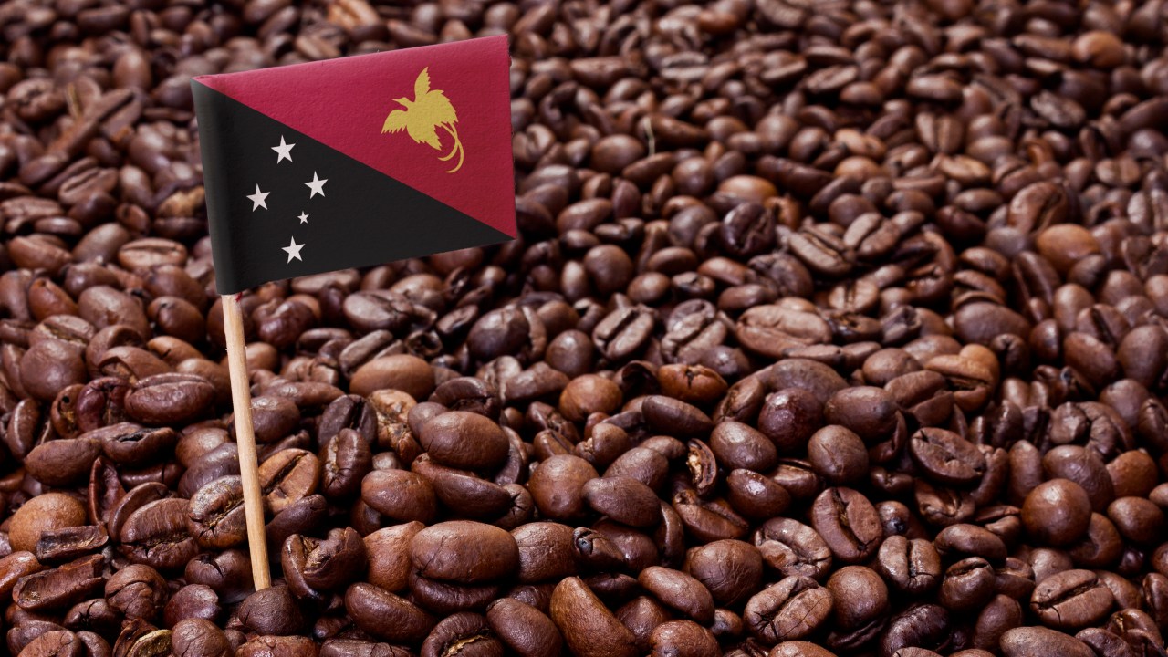 The flag of Papua New Guinea sticking in roasted coffee beans.(series)