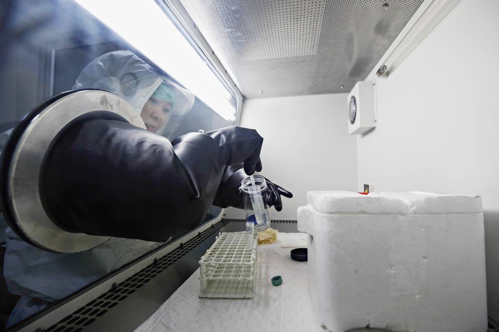 LABORATORIO-TESTE-DIAGNOSTICO-VARIOLA-DOS-MACACOS-TAILANDIA-2022-09.jpg TESTE - Análise de amostra no Japão: necessidade de conhecer o vírus atual -