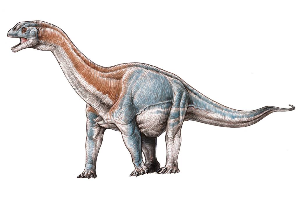 Patagosaurus-fariasi 'Neuquensaurus australis' -