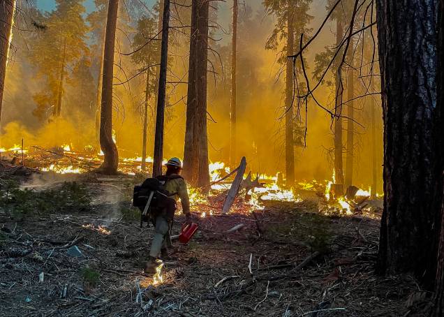 Bombeiros realizam operações de combate ao incêncio florestal na entrada sul do Parque Nacional de Yosemite, Califórnia, em 11/07/2022.