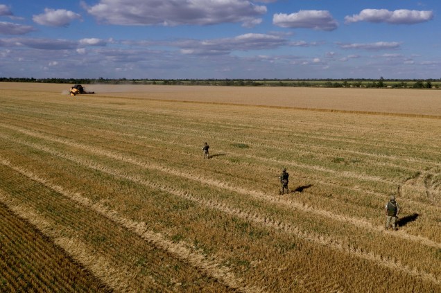Agricultores colhem  trigo próximo de Melitopol, região de Zaporizhzhia, em meio à ação militar russa em andamento na Ucrânia. em 14/07/2022.