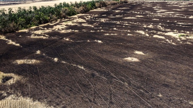 Foto aérea tirada em 13/07/2022 mostra um campo de trigo queimado após supostos ataques aéreos militares russos no leste da Ucrânia.