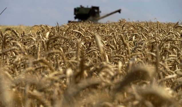 Uma colheitadeira de grãos coletando trigo na região de Novoazovsk, nos arredores de Mariupol, em meio à ação militar russa em andamento na Ucrânia. 31/07/2022.