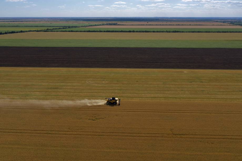 Agricultores colhem  trigo próximo de Melitopol, região de Zaporizhzhia, em meio à ação militar russa em andamento na Ucrânia. em 14/07/2022.