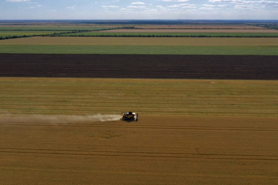 Agricultores colhem  trigo próximo de Melitopol, região de Zaporizhzhia, em meio à ação militar russa em andamento na Ucrânia. em 14/07/2022.