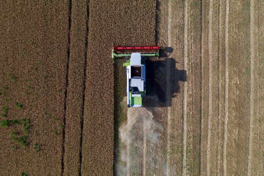 Agricultores colhem  trigo próximo de Melitopol, região de Zaporizhzhia, em meio à ação militar russa em andamento na Ucrânia. em 14/07/2022.