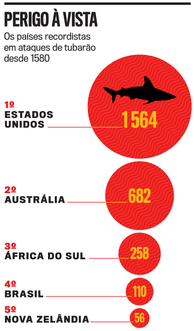 Brasil está entre os países com maior número de ataques de tubarões