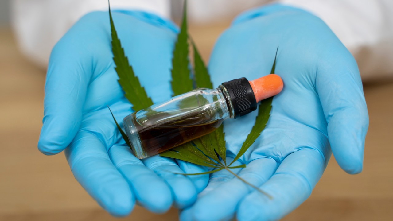 foto de mãos com luvas segurando vidro de óleo e folha de cannabis