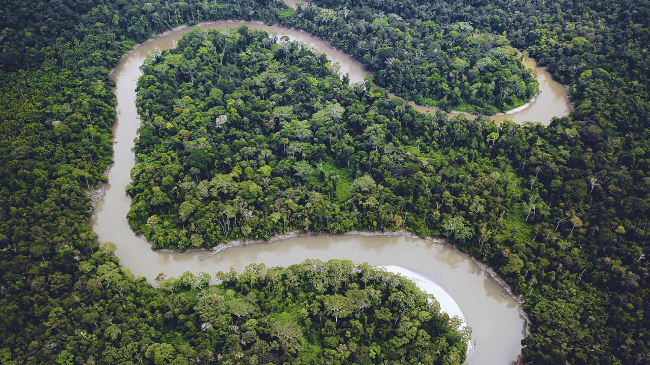MATA VIRGEM - Bacia do Xingu: a configuração atual da floresta é resultado direto da ação humana -