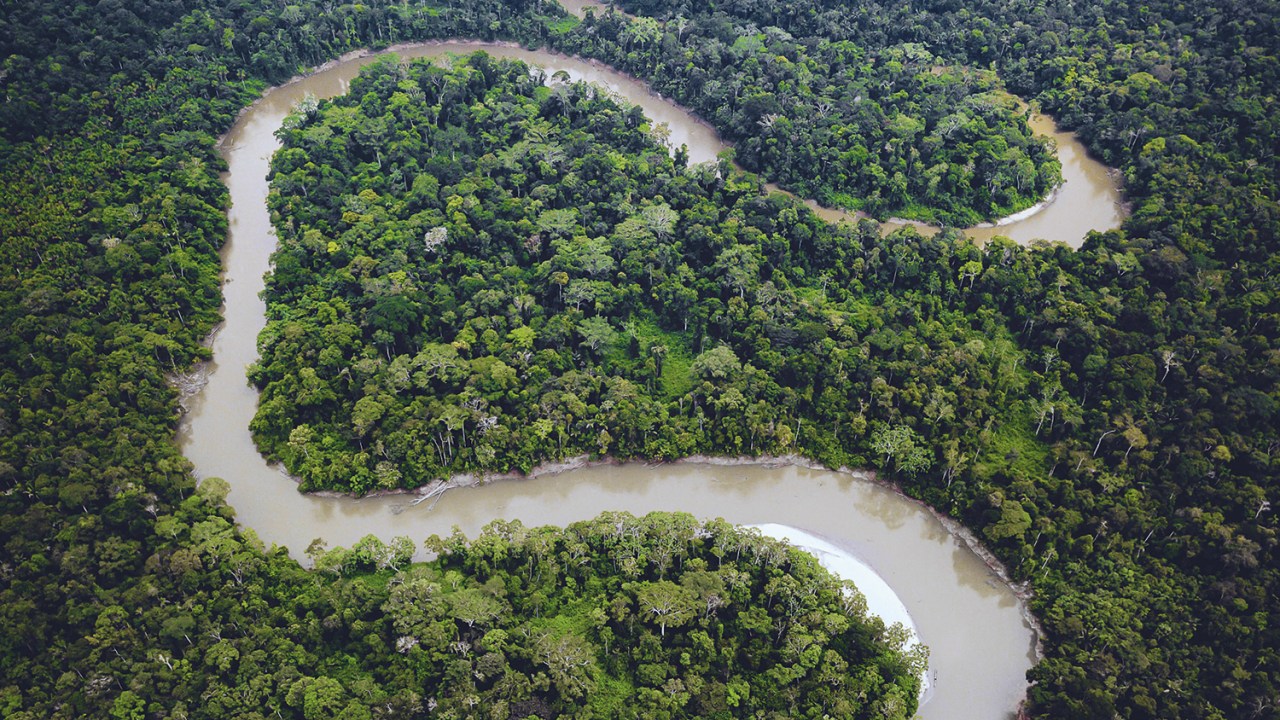 MATA VIRGEM - Bacia do Xingu: a configuração atual da floresta é resultado direto da ação humana -