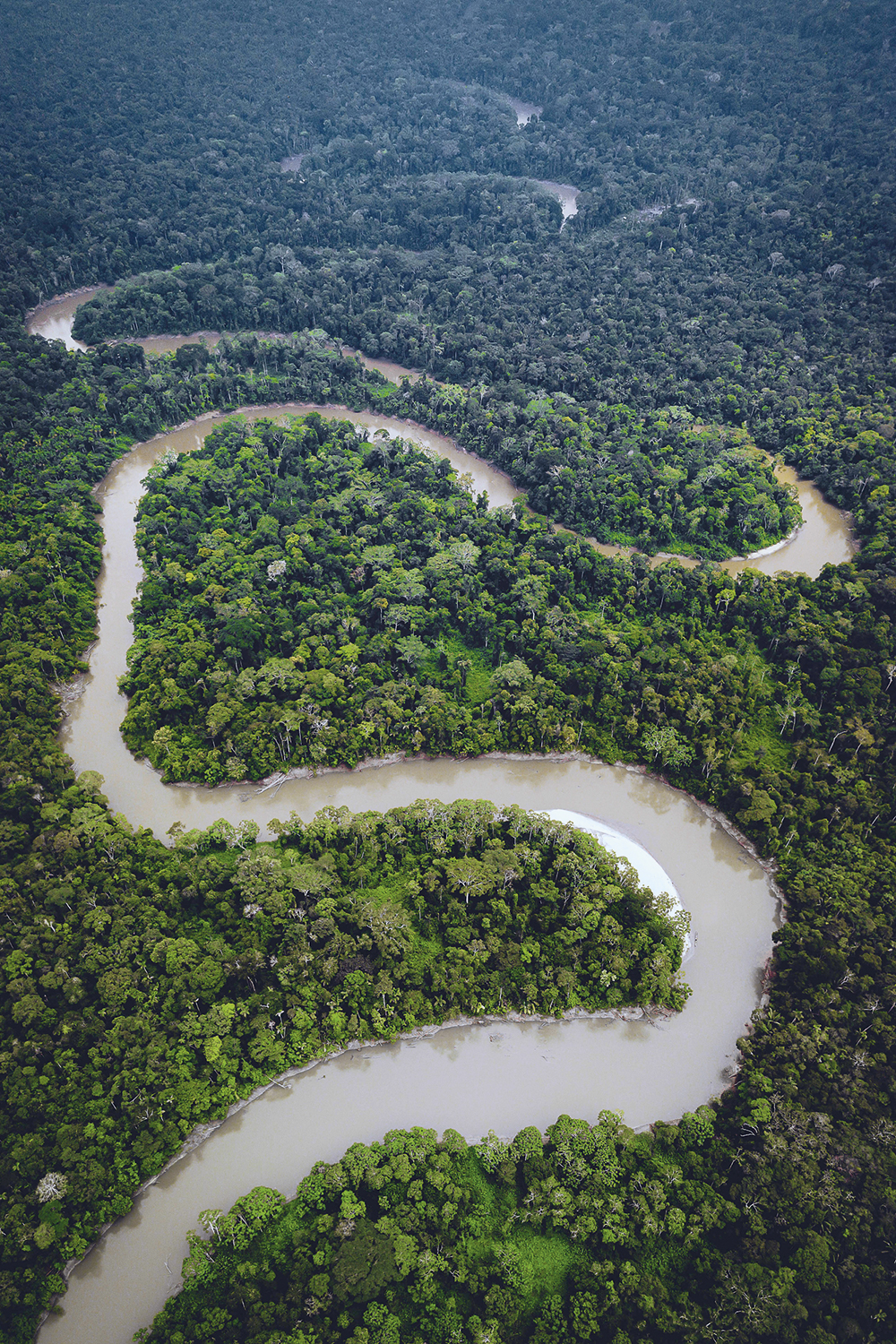 MATA VIRGEM - Bacia do Xingu: a configuração atual da floresta é resultado direto da ação humana -