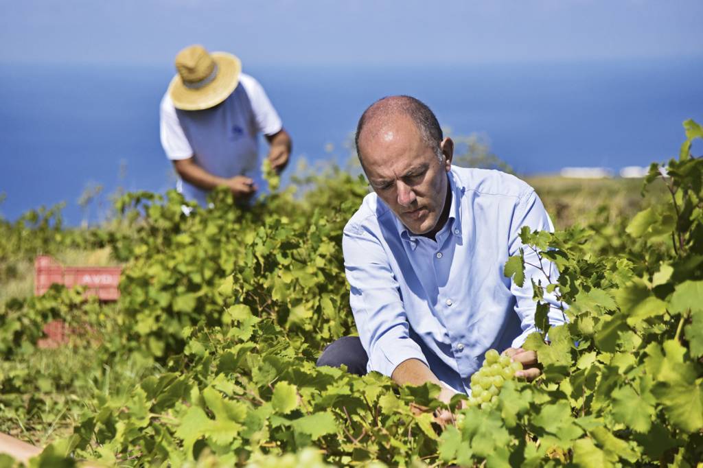 TRADIÇÃO - Antonio Rallo, CEO da vinícola Donnafugata: sabor siciliano -