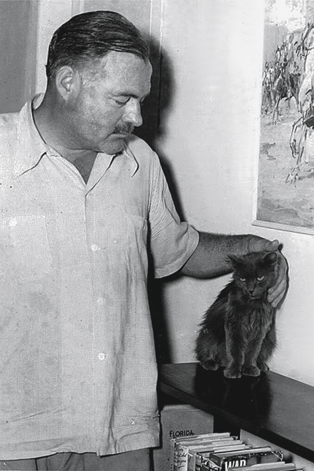 PAI DE PET - Hemingway: antiga casa do autor abriga 59 gatos -