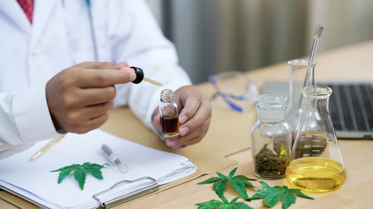 Busca por medicamentos à base de cannabis cresceu entre pacientes com ansiedade e depressão -