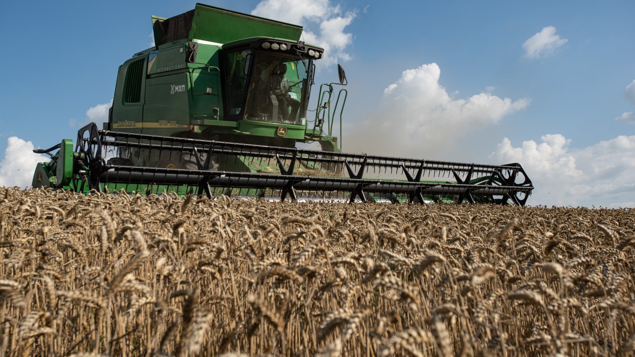 Mais de 350 mil toneladas de trigo devem ser entregues à África e ao Oriente Médio e estão em risco após a retirada da Rússia do acordo de exportação de grãos da Ucrânia.