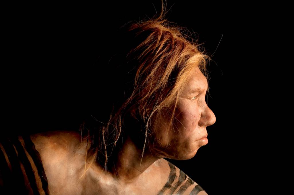 EM FAMÍLIA - Neandertal: relações de parentesco descobertas pelo DNA -