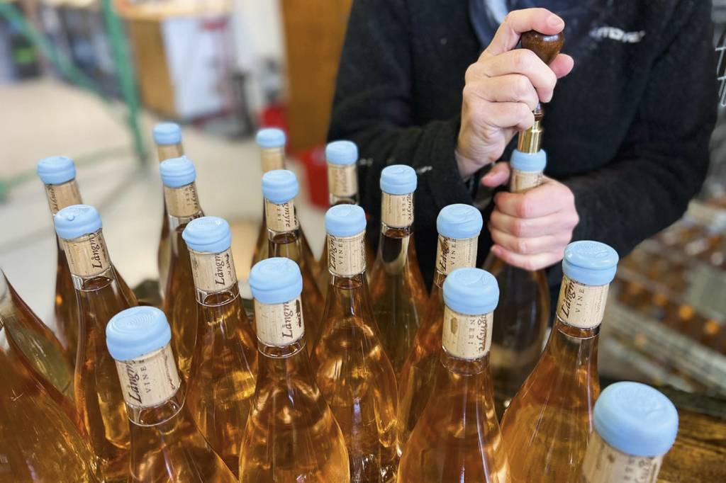 LANGMYRE-VINERI-SUECIA-2022-01.jpg SUCESSO - Vinhos da Suécia: o primeiro país a desbravar a viticultura no norte -