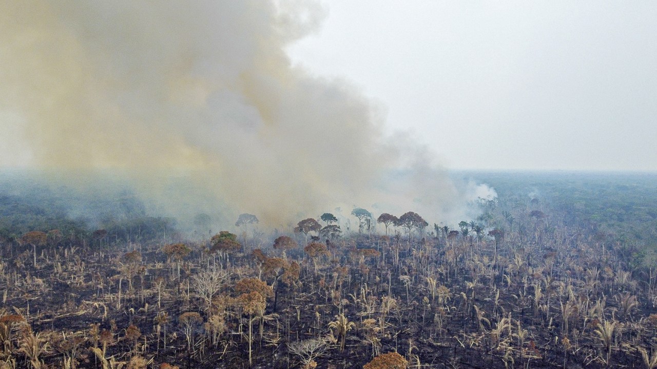 PLANO - A Amazônia: economia sustentável para barrar a destruição da floresta -