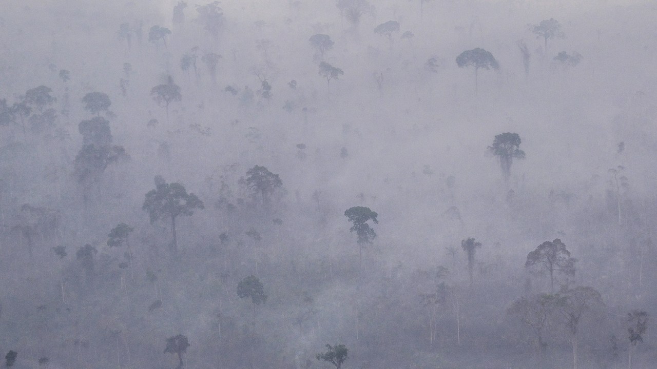 QUEIMADAS - Amazônia em chamas: apesar do estrago nos últimos anos, especialistas apostam na recuperação da região -
