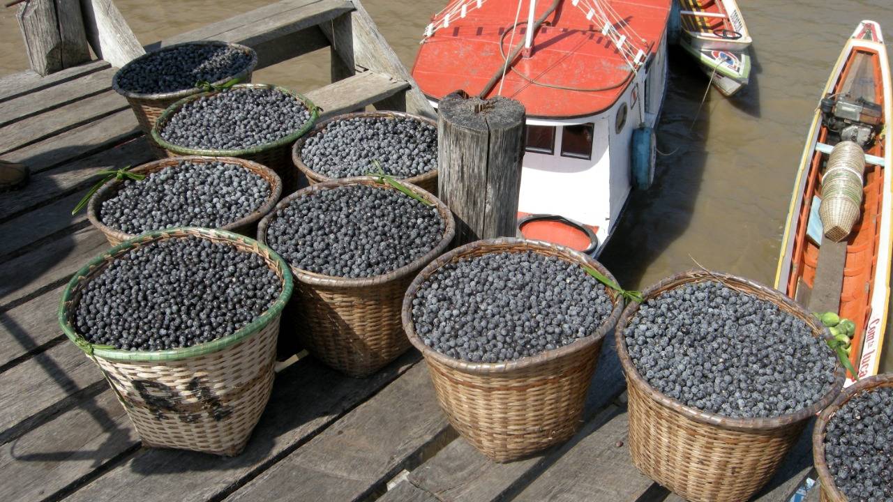 Açaí