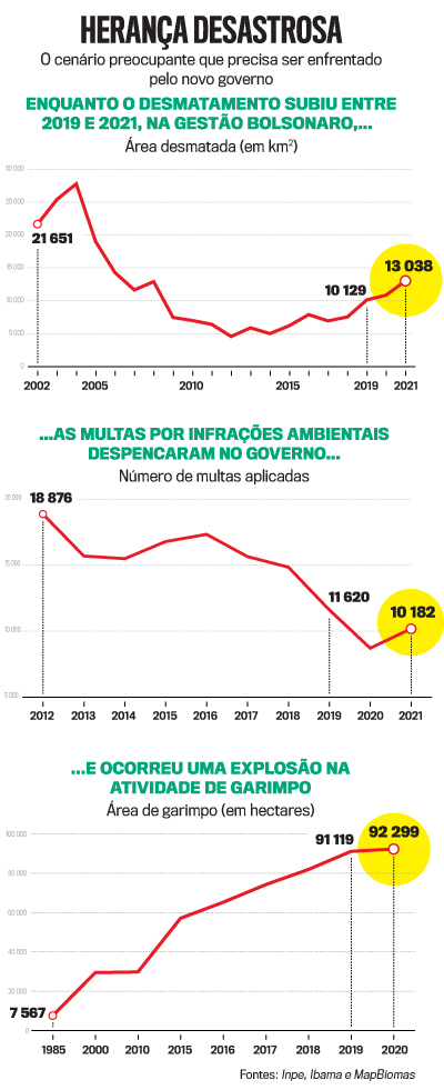 arte Brasil Verde