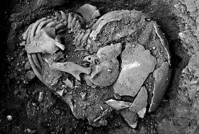 Fóssil de criança de 4 que teria vivido há pelo menos 9.400 anos e nascido com sífili