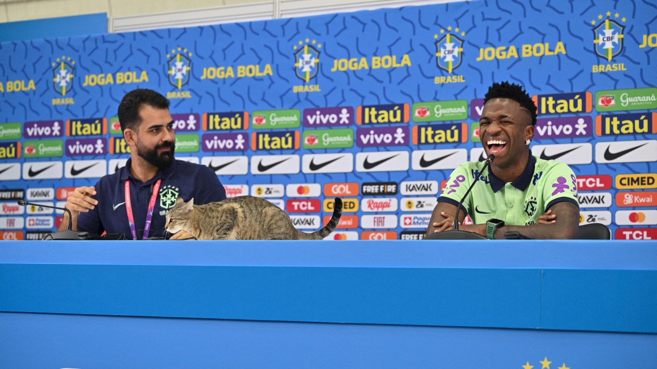 Vinicius Júnior e o surpreendente gato durante a entrevista coletiva -
