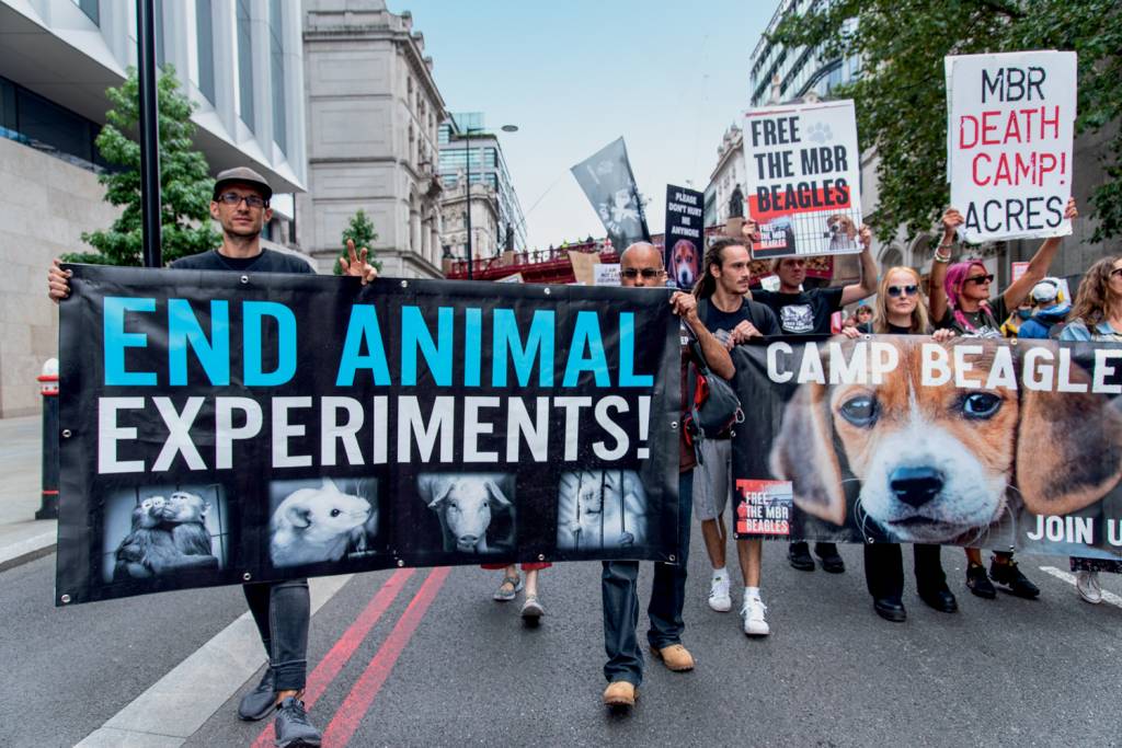 LONDRES - Ativistas nas ruas: o desafio é acabar com o sofrimento dos bichos -