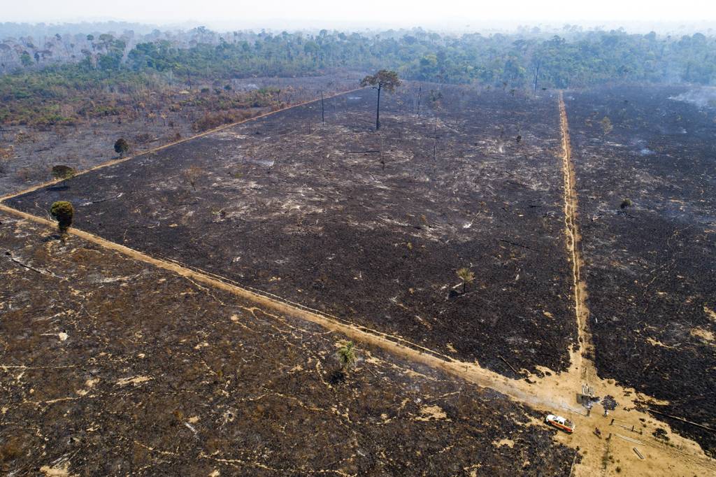 TERRA ARRASADA - Amazônia: o desmatamento cresceu 59% com Bolsonaro -