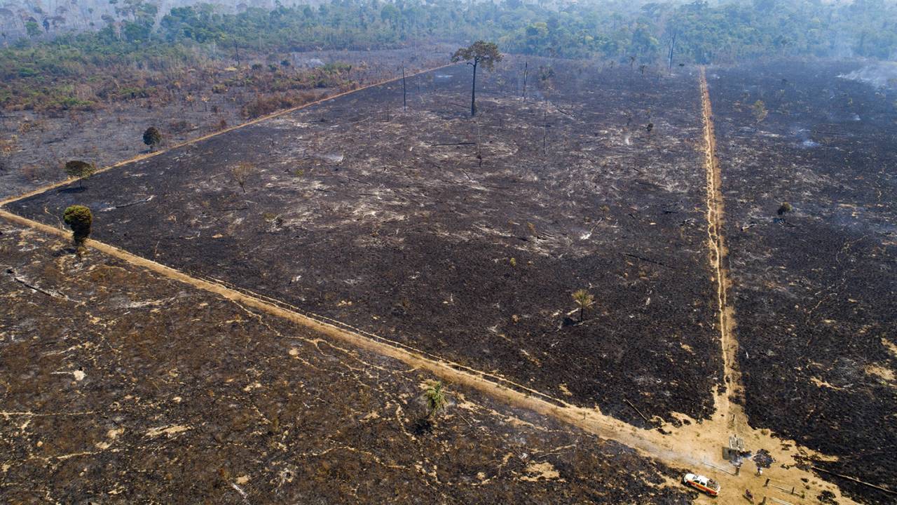 TERRA ARRASADA - Amazônia: o desmatamento cresceu 59% com Bolsonaro -