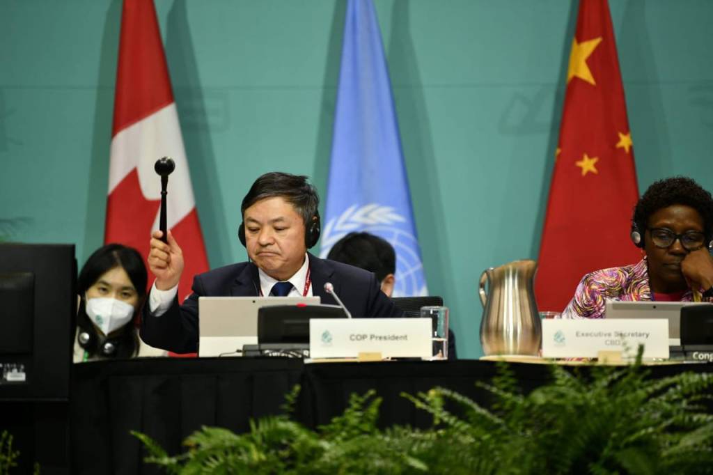 Cop15 chega a pacto histórico para proteger 30% da biodiversidade até 2030