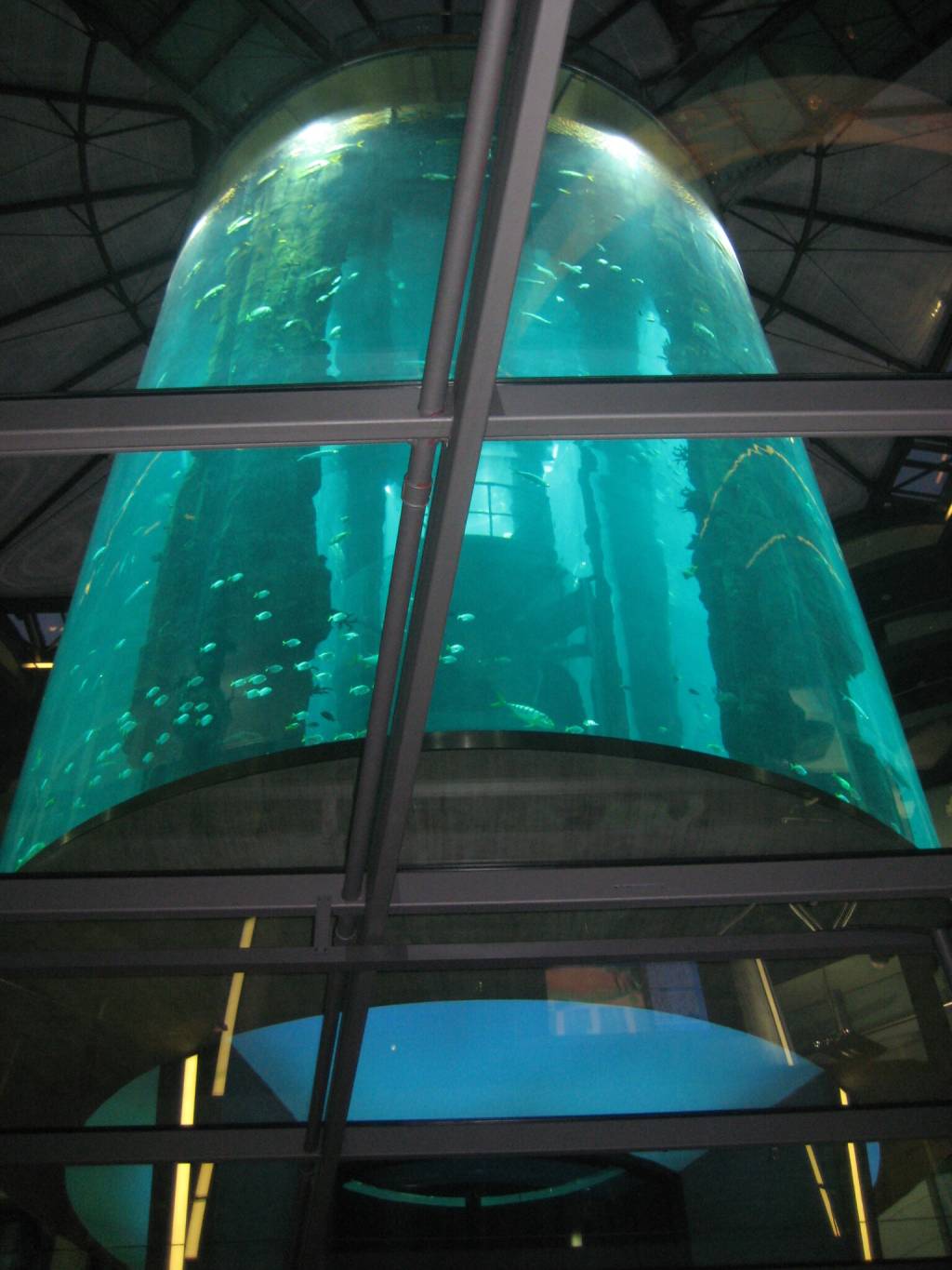 Foto do aquário de 14 metros antes da explosão